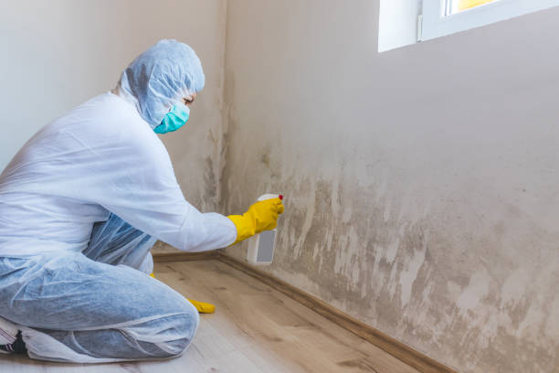 Licensed Commercial Mold Remediation service in Dallas, OR - WQB Mold Removal