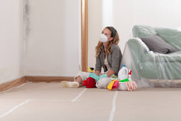 Reliable Commercial Mold Remediation contractor in Dallas, OR by WQB Mold Removal